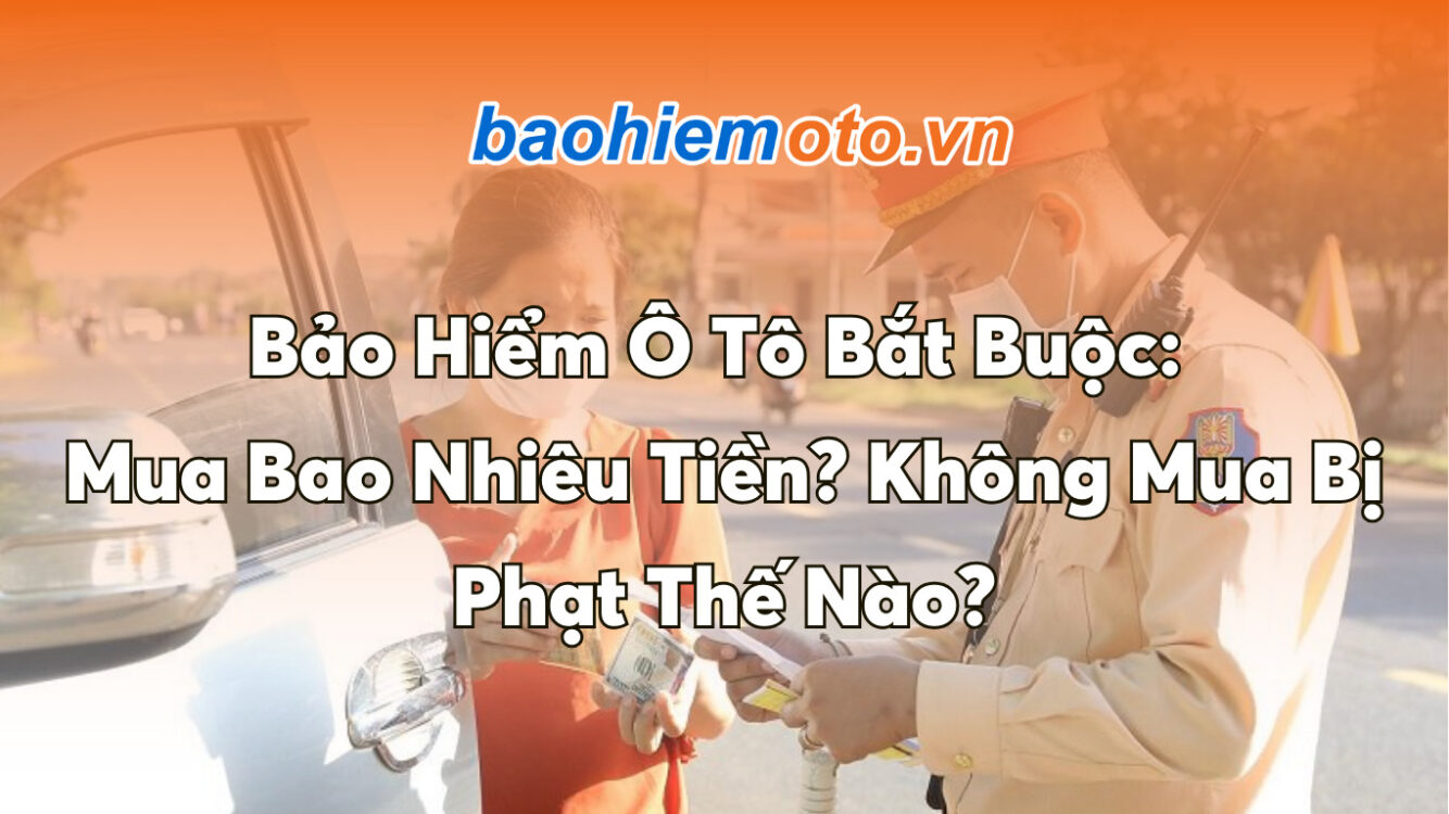 Bảo Hiểm Ô Tô Bắt Buộc: Mua Bao Nhiêu Tiền? Không Mua Bị Phạt Thế Nào?