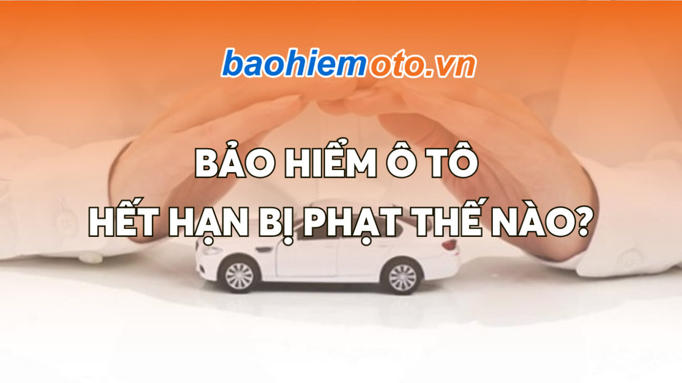 Bảo Hiểm Xe Ô Tô Hết Hạn Bị Phạt Thế Nào?